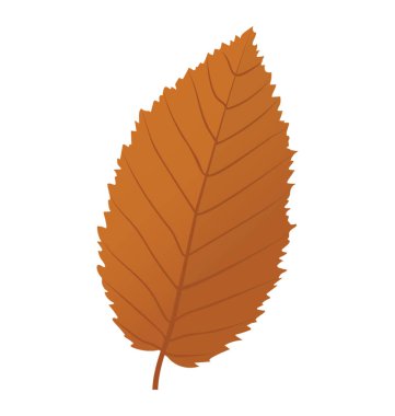 Soluk sarı renkli bir elm yaprak Hollandalı lem olarak da bilinir 