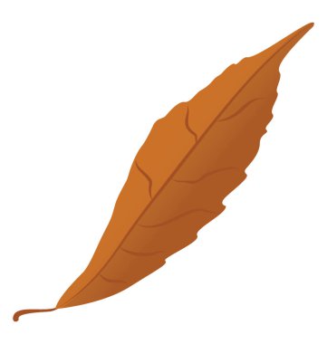 Bir sonbahar yaprak ince kurutulmuş sarı yaprak olduğunu ben