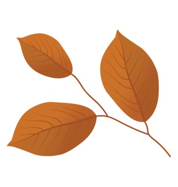 Yapraklı dal kuru sonbahar yaprak dalıdır 