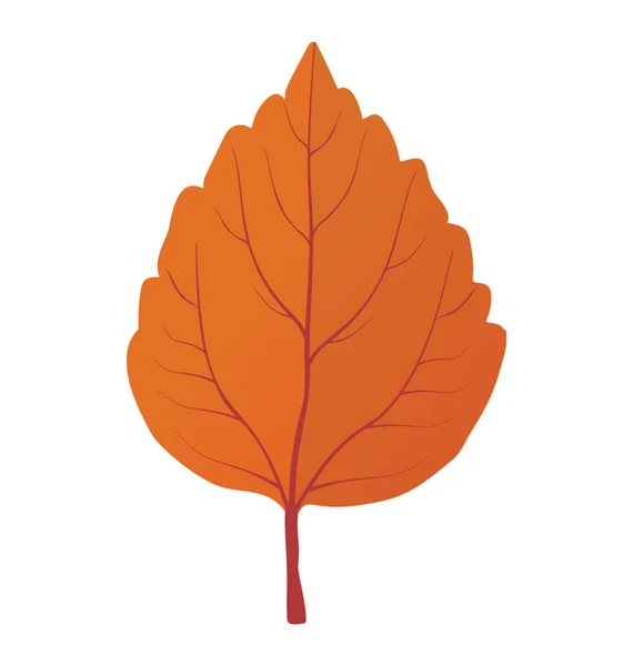 Aspen Leaf Birch Tree Also Called Orange Leaf — Stock Vector