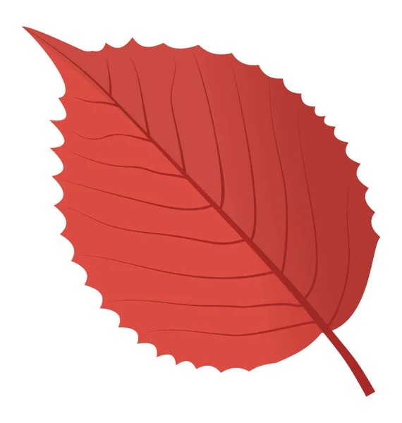 Ένα Φύλλο Elm Κόκκινο Χρώμα Που Ονομάζεται Επίσης Ολλανδική Λεμ — Διανυσματικό Αρχείο