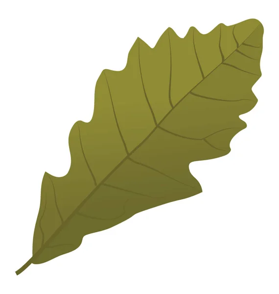 干燥的橡树叶是一片绿色的秋叶 — 图库矢量图片