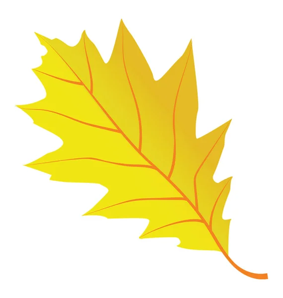 橡树叶是秋叶的黄色颜色 — 图库矢量图片