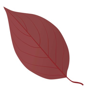 Mor renkli bir sonbahar yaprak bir kızılcık sonbahar yaprak olduğunu 