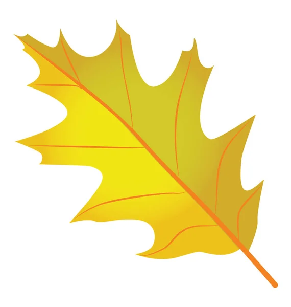 Une Feuille Chêne Écarlate Est Une Feuille Automne Couleur Jaune — Image vectorielle