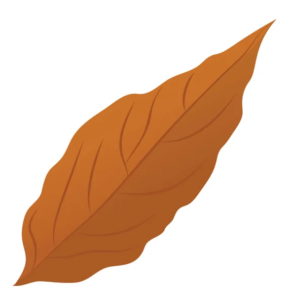 Vékony Szárított Sárgás Levelek Ismert Magnolia Levél — Stock Vector