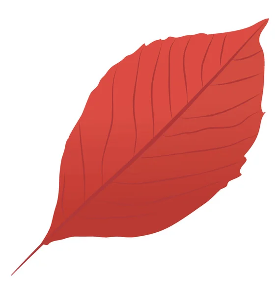 Feuille Rouge Avec Des Nervures Minces Est Une Feuille Automne — Image vectorielle