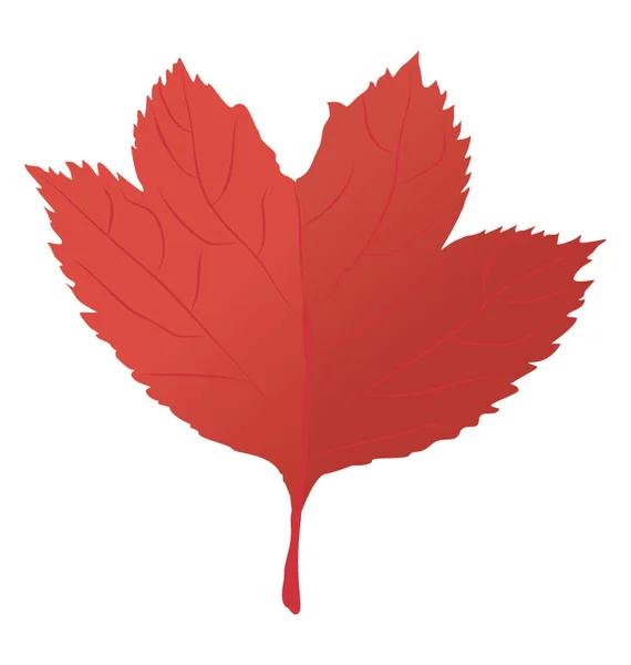 赤いカエデの葉は 広い緑豊かな構造を持つ秋の葉 — ストックベクタ