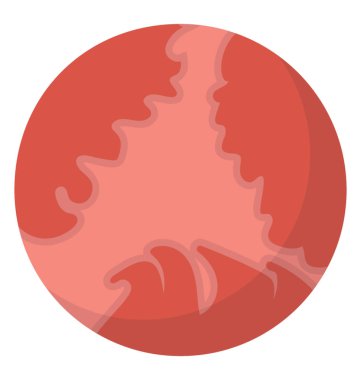 Merkür gezegeni güneş sistemi