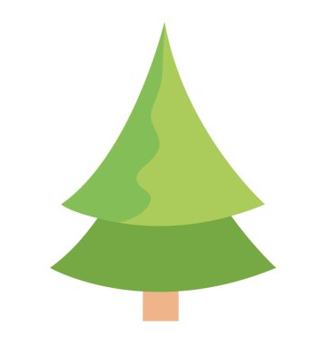 Kabarık genç şube köknar ağacı, iğne yapraklı ağaç 