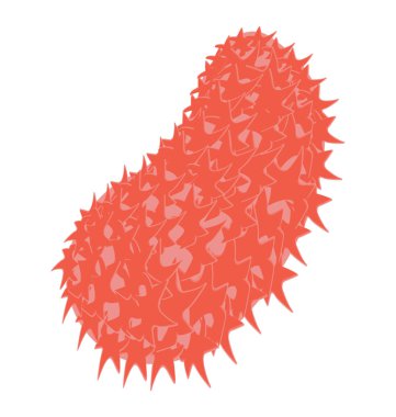 Düz simge vektör acroporidae coral reef ve