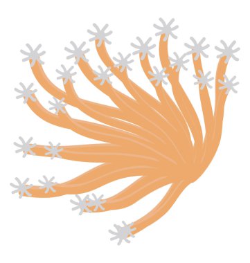 Düz simgesi tasarım Melithaea coral reef ve