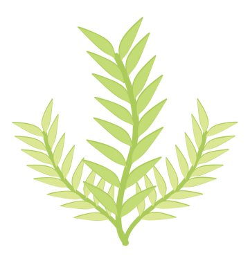 Düz simgesi tasarım Eugorgia coral reef ve