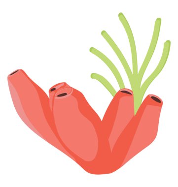 Düz simgesi tasarım Eunicella Verrucosa coral reef ve