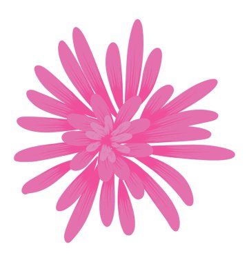 Bir ters görüntülemek peygamber çiçeği, doğal güzellik kavramı