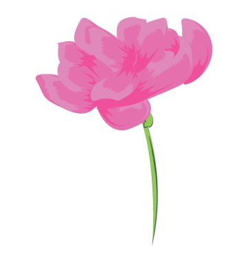 Yeşil kök ile kırmızı gül bud