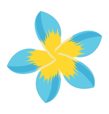 Bir çift çiçek açan çiçek dahlia doğal büyüme ile