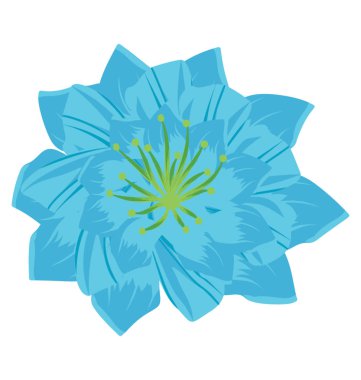 Düz simge görüntüsünü puschkinia çiçek