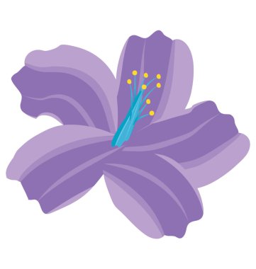 Stargazer lily doğal büyüme ile çiçek açan bir çiçek