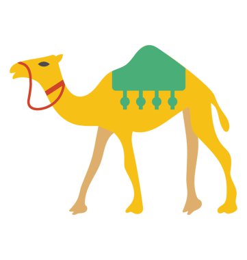 Bir Arap deve yaşlılık ulaşım için 