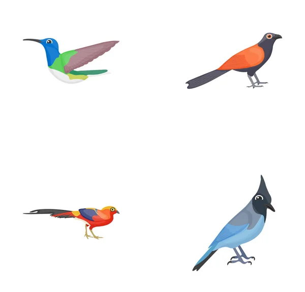 Перьевое Существо Плоские Иконы Птиц — стоковый вектор