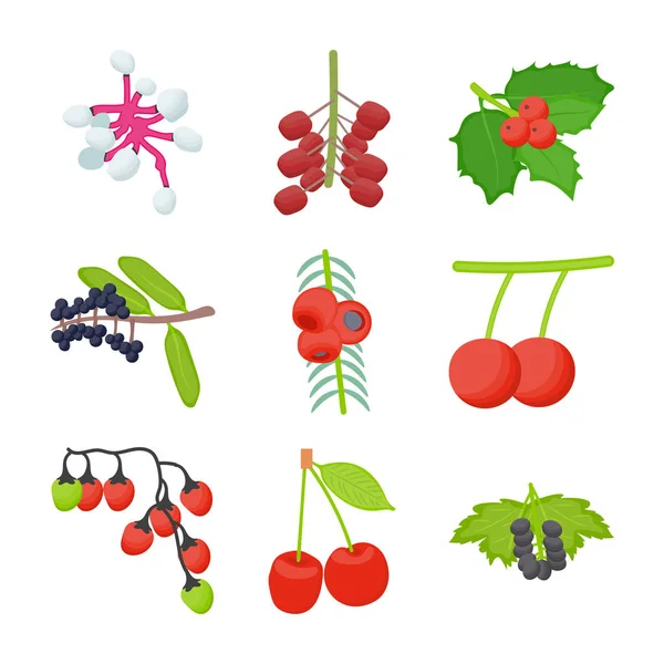 Beeren Bündelt Flache Symbole — Stockvektor