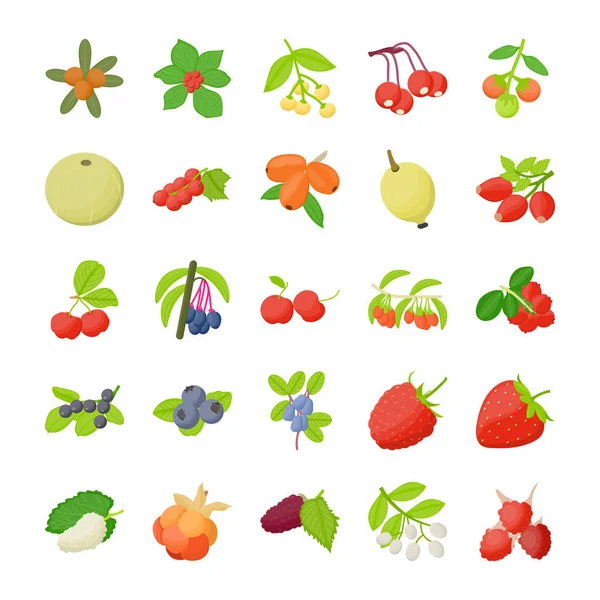 Paquete Iconos Frutas Baya — Vector de stock