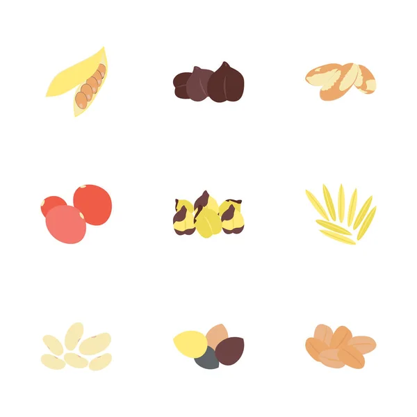Dried Fruits Flat Icons Set — Stock Vector