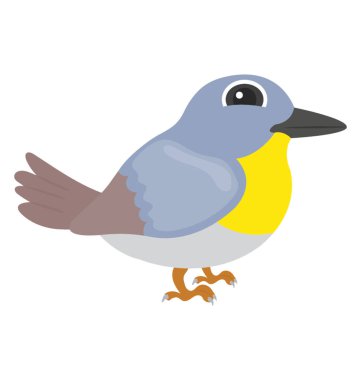  Kuş tüy ve serçe gösteren Gaga siyah 