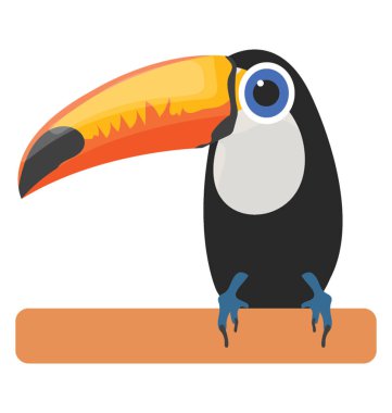 Karga gibi renkli kuş uzun gagası, toco toucan sahip 