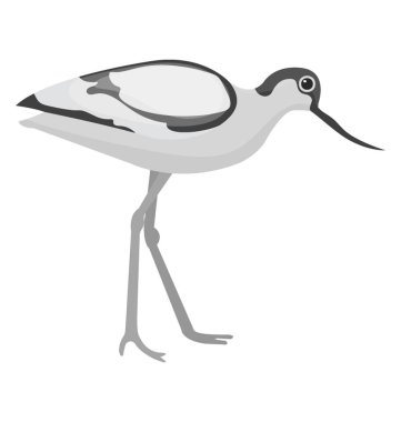 Uzun gagası ve akıllı bacaklar vinç tasvir eden kuş 