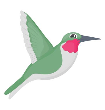 Yeşil renkli, ortak murre uzun gagalı kuş 