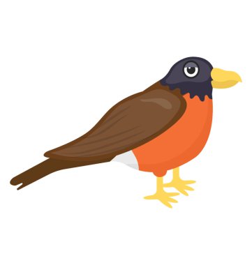 Uzun gagası Avrasya finch resmeden ile renkli bir kuş 