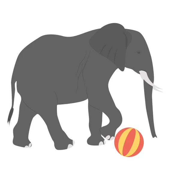 Ein Elefant Mit Ball Zeigt Elefantenakt — Stockvektor