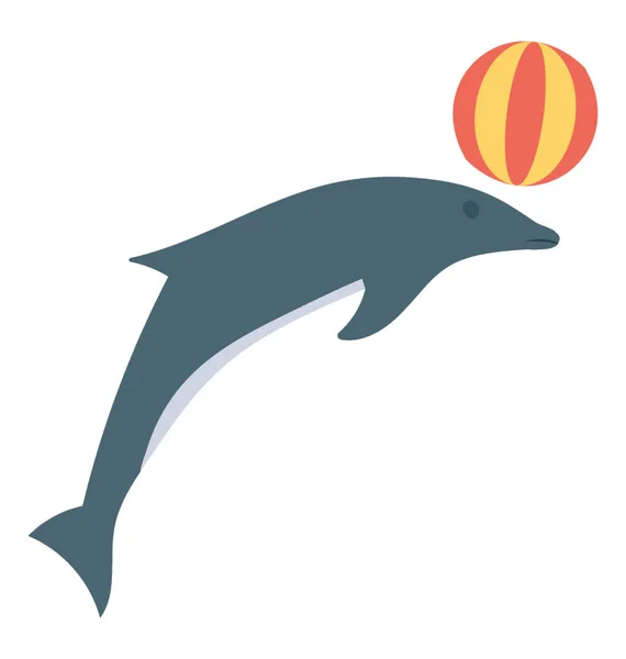 Дельфін Ячем Показує Дельфіновий Цирк — стоковий вектор