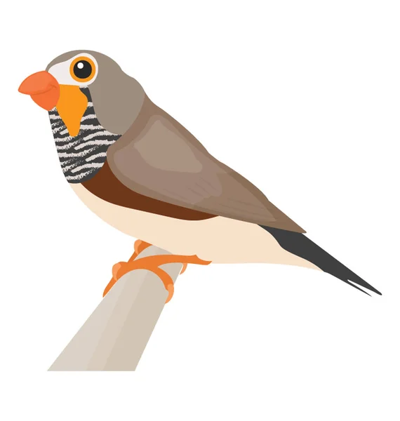 Pajarito Con Plumas Que Representan Gorrión — Vector de stock