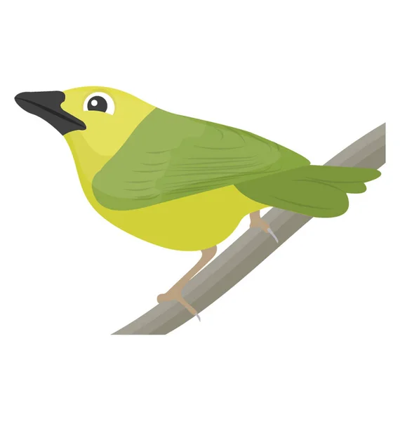 Oiseau Plumes Vertes Bec Caractérisant Perroquet — Image vectorielle