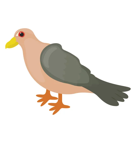 Pták Barevné Zobák Charakterizující Holub Ikonu — Stockový vektor