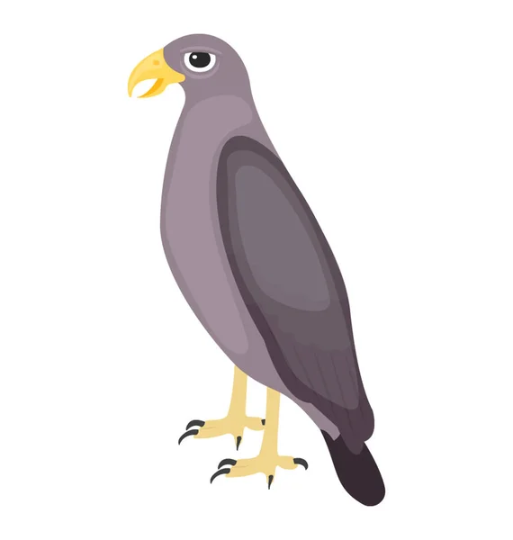 Fågel Med Färgade Näbb Som Kännetecknar Pigeon Ikonen — Stock vektor