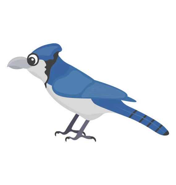 Niebieski Ptactwo Przedstawiające Obraz Blue Jay — Wektor stockowy