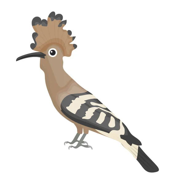 Hoopoe Pájaro Que Tiene Pico Largo Hoopoe Pájaro — Vector de stock