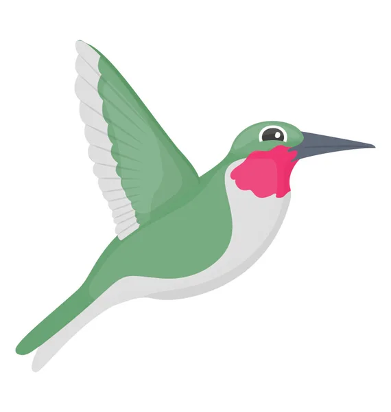 Длинноклювая Птица Зеленого Цвета Обыкновенный Гул — стоковый вектор