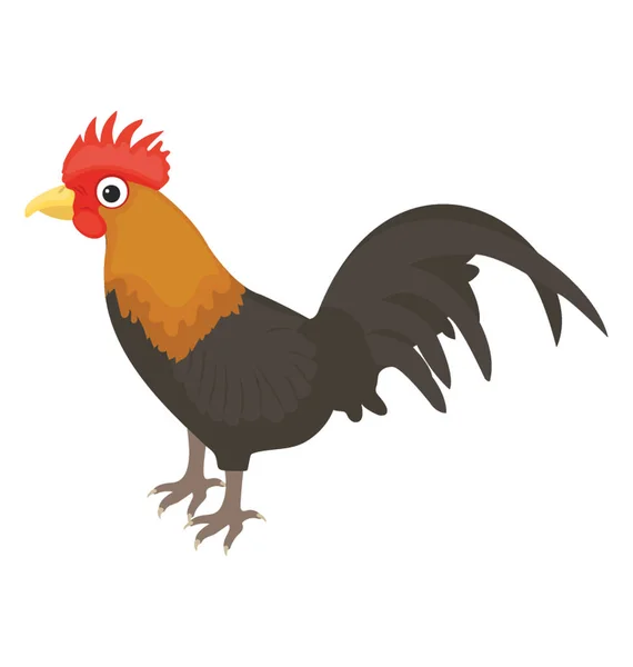 Pet Animal Having Feathers Depicting Cock Visual — Stock Vector