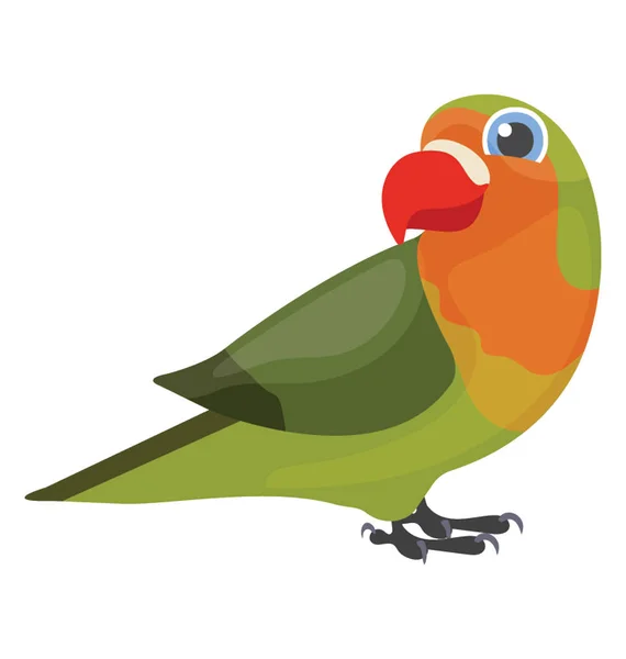 Bird Having Multicolored Feathers Beak Characterizing Parrot — Stock Vector