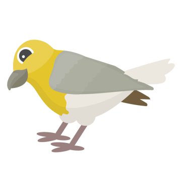 Serçe kuş sarı ve gri renkli tropikal parula tasvir gibi 