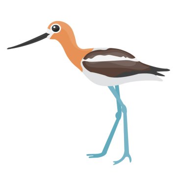 Uzun gagası ve akıllı bacaklar sandhill crane tasvir eden kuş 
