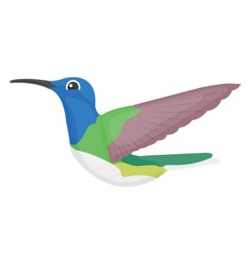 Filipin Pide gösteren renkli kuş uçuyor 