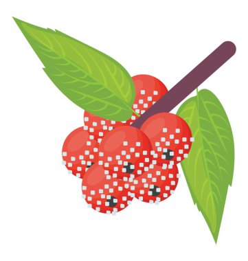 Ele beyaz tohumları ile organik pineberry 