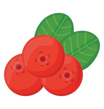 Kırmızı taze renkli İsveç kirazı 