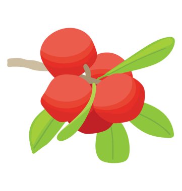 Kırmızı taze renkli İsveç kirazı 